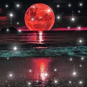 Meet your Posher, Edna